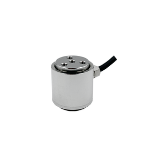 Miniature Compression And Tension Load Cell T317